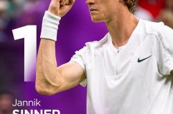 开云平台-戴维斯杯逆转温网，梅德韦杰夫刷新纪录的简单介绍