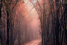 开云体育下载-智利血洗马德里竞技，阿尔瓦雷斯送出助攻的简单介绍