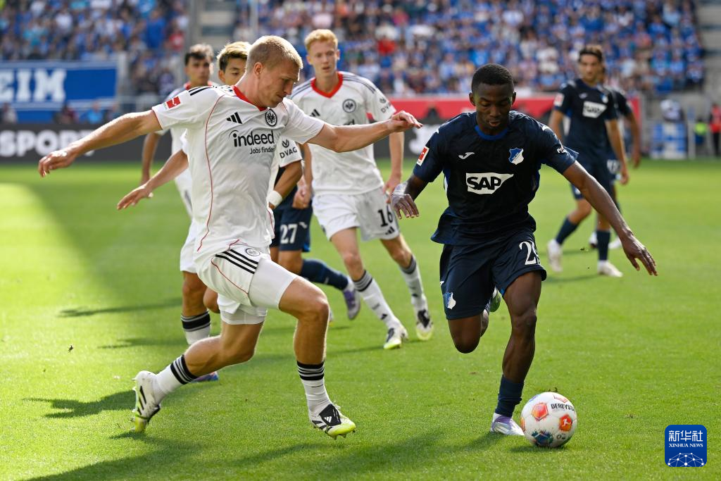 霍芬海姆客场全身而退，坚守在德国联赛的中游位置的简单介绍
