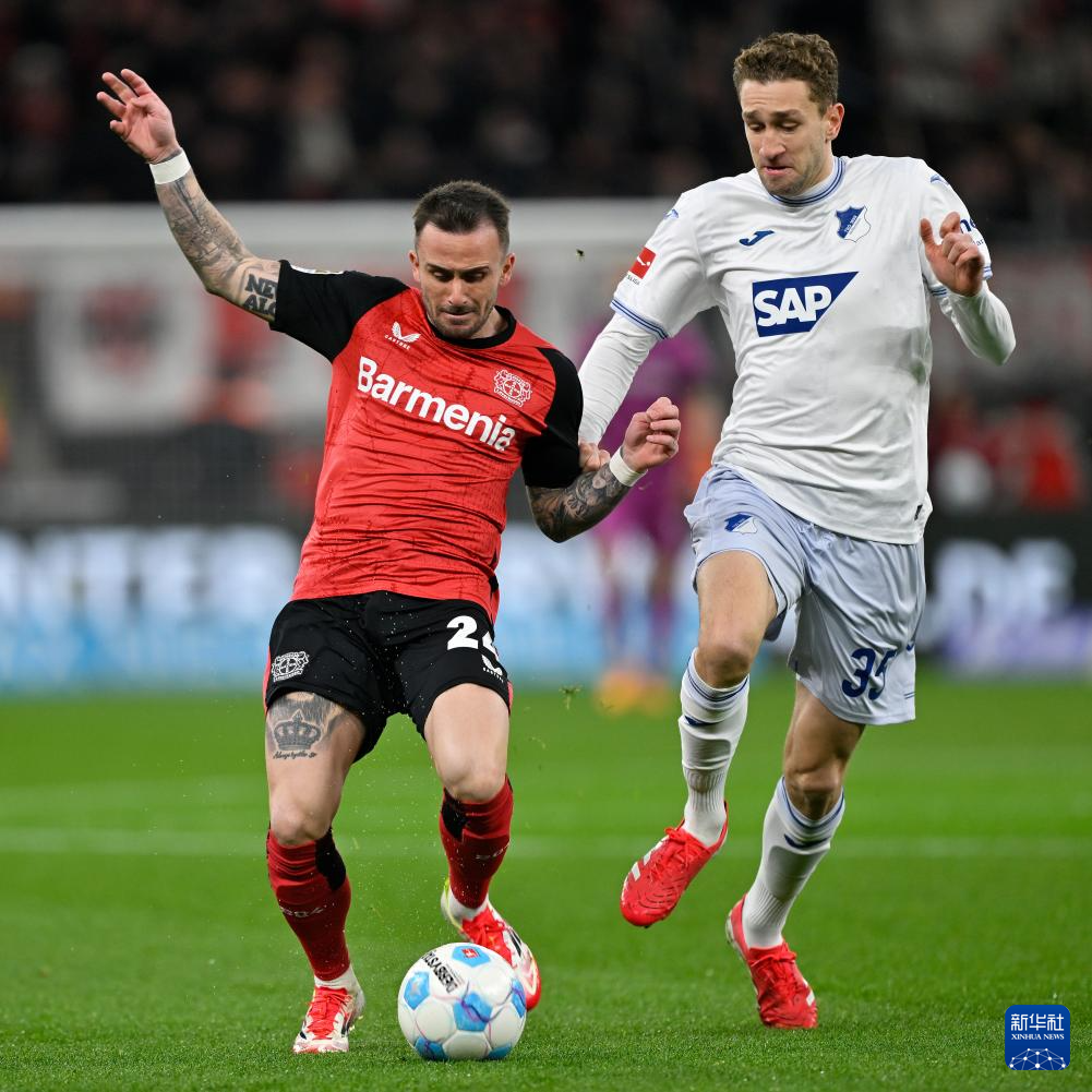 霍芬海姆客场全身而退，坚守在德国联赛的中游位置的简单介绍