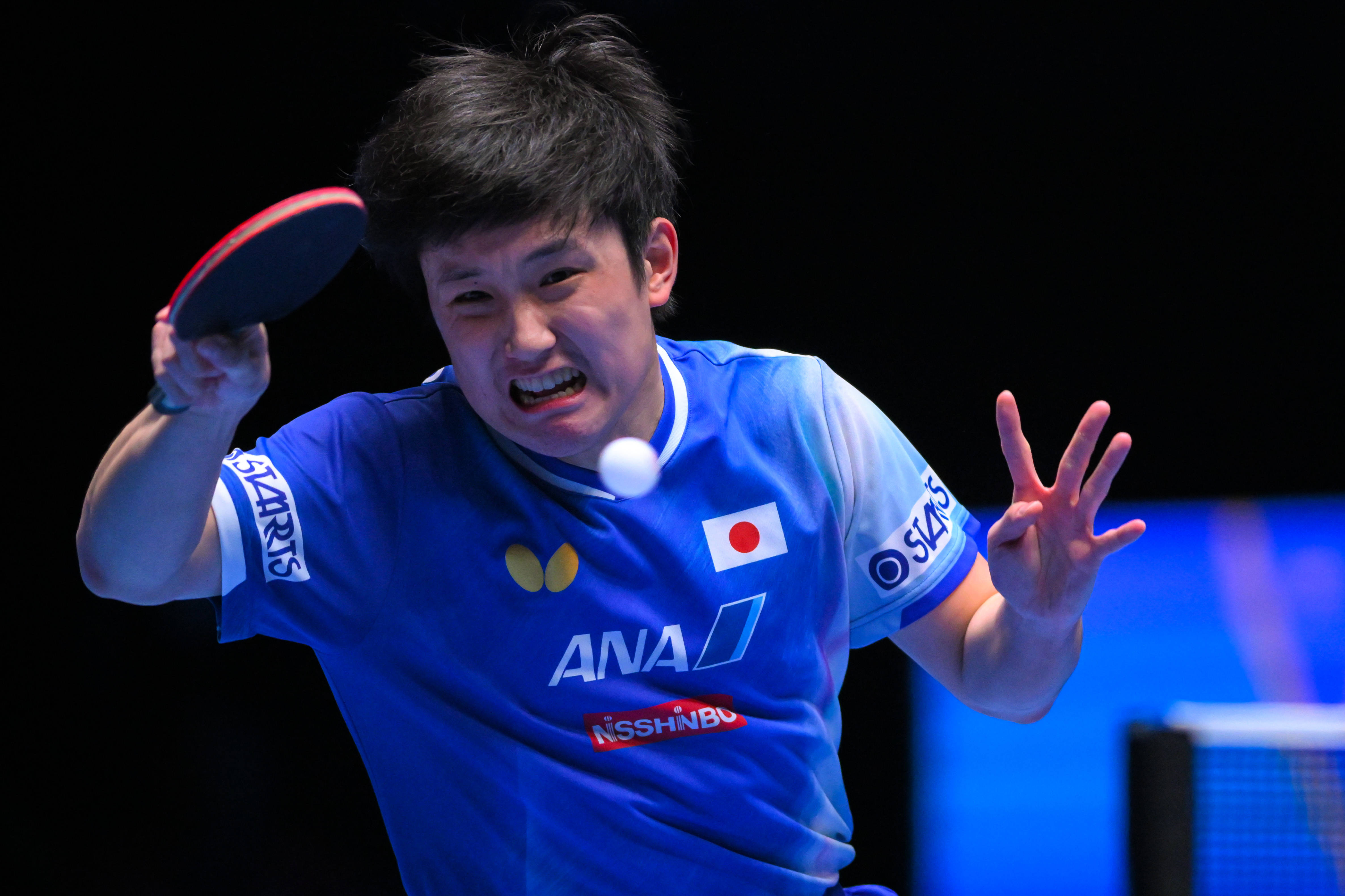 比利时乒乓球队横扫瑞典乒乓球队，张本智和绝境逆转的简单介绍