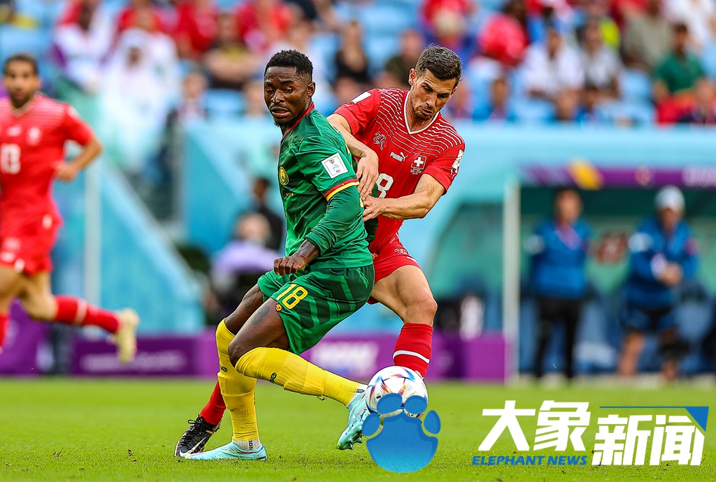 瑞士-战胜利比亚闯入欧预赛强的简单介绍