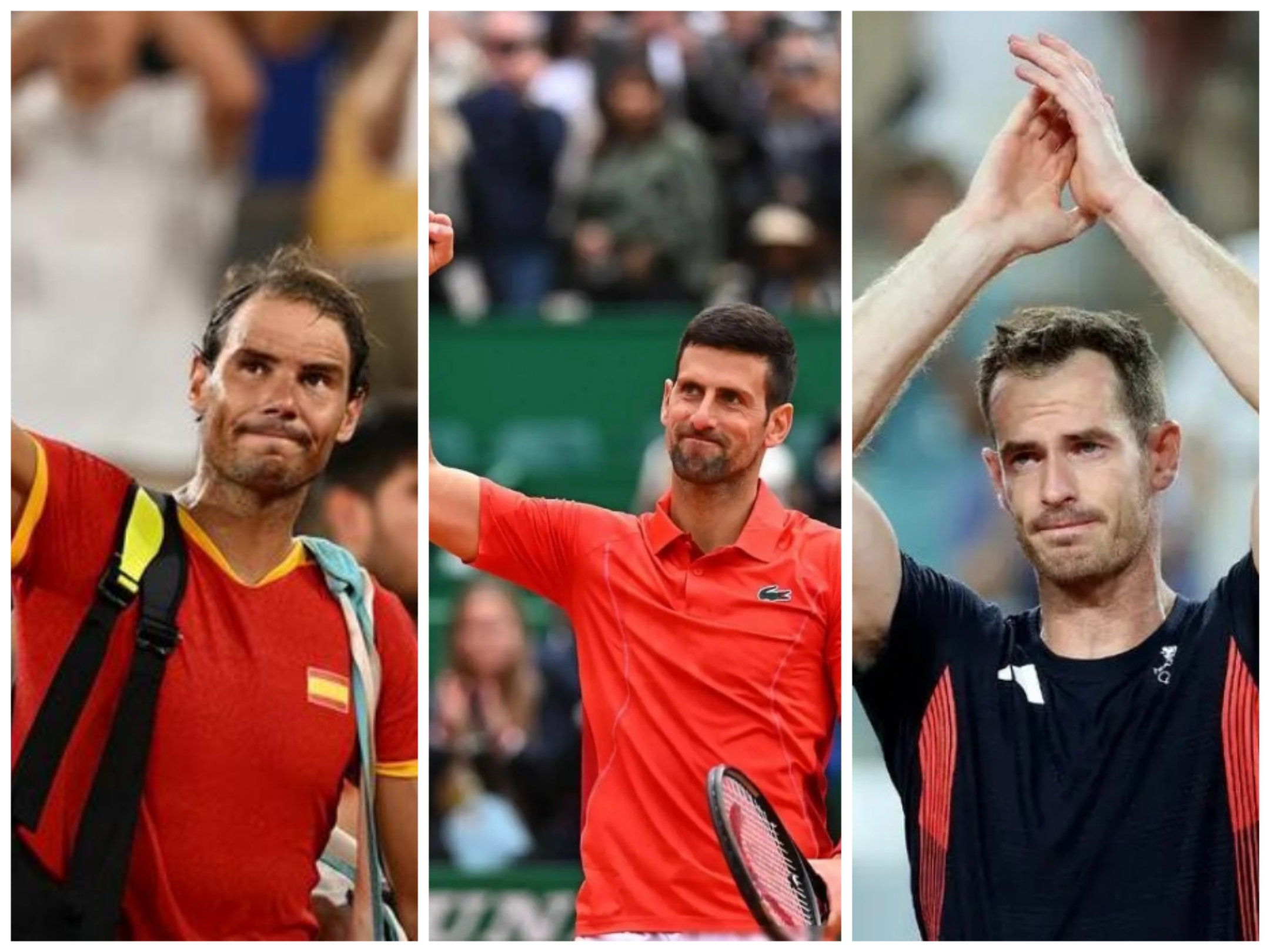 关于拉沃尔杯横扫蒙特卡洛大师赛，穆雷点燃赛场的信息