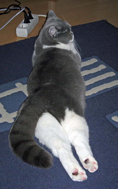 北欧寒夜鏖战记，阿什拉夫一锤定音，多特蒙德远征挪威奏凯