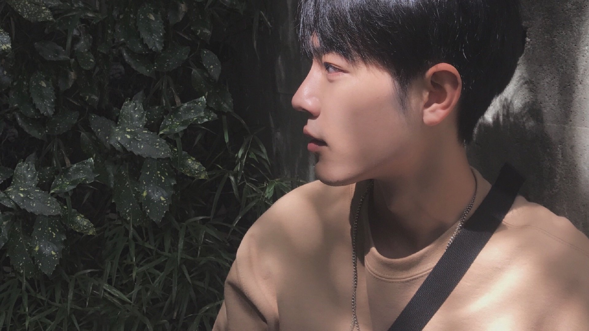 武切维奇赛后评分拉满，热火对阵活塞，一场定义唯一性的表演