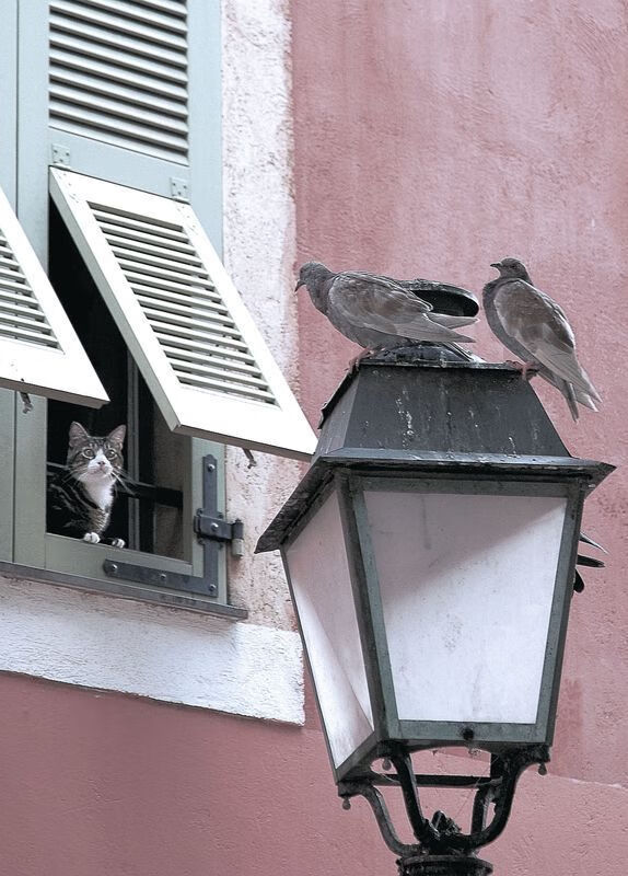 奥运周期关键战焦点战，山西队末节逆袭带走浙江队