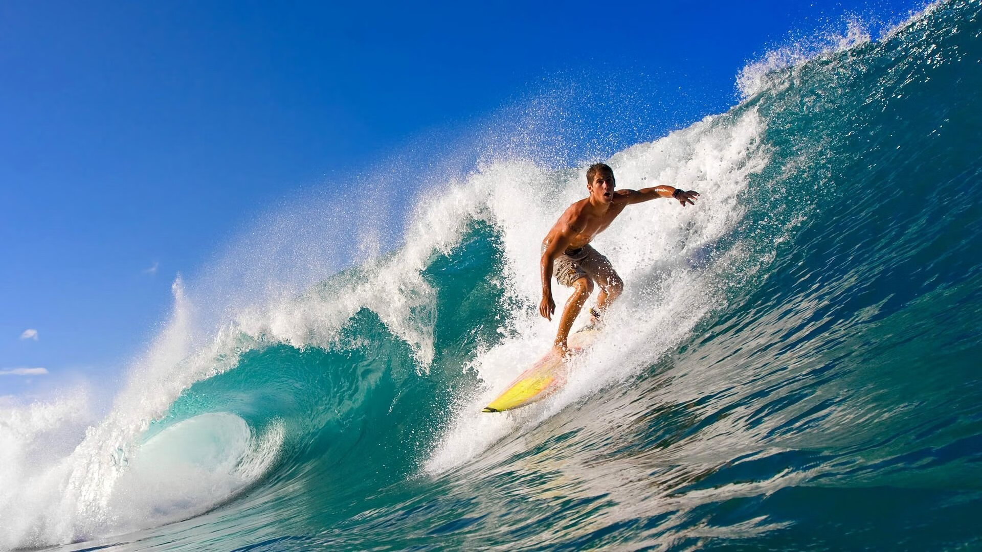 从温网草场到都灵鏖战，辛纳如何扛起意大利网球复兴大旗